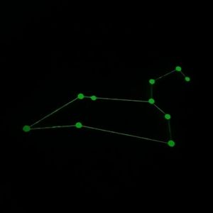 LEO The Lion Glow In The Dark CARD Stargo Game Replacement Piece